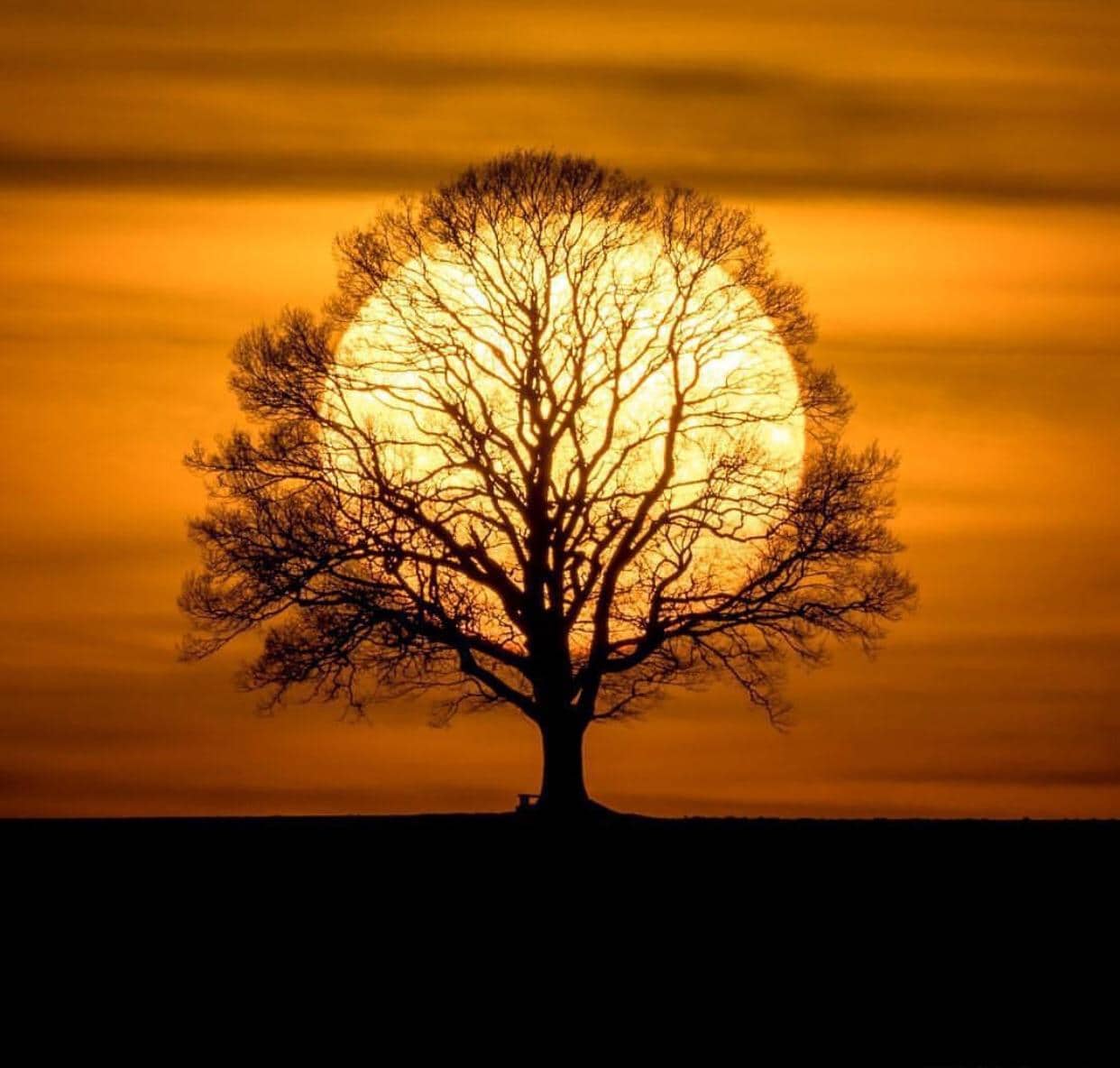 Reiki Holistic Energy Healing